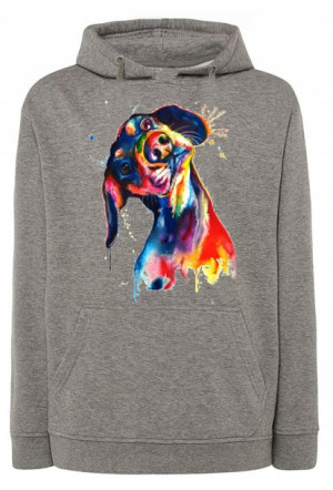 Bluza męska kolorowy nadruk pies Jamnik r.3XL