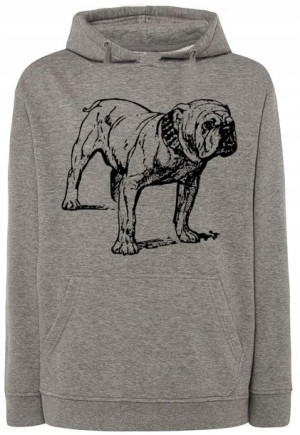Bluza męska nadruk pies BULLDOG r.4XL