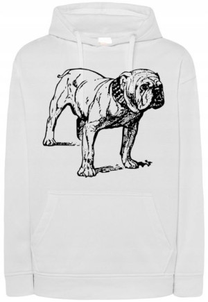 Bluza męska nadruk pies BULLDOG r.XS