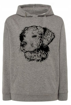 Bluza męska nadruk pies GOLDEN RETRIEVER r.4XL