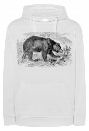 Bluza męska nadruk zwierzę NIEDŹWIEDŹ r.XXL