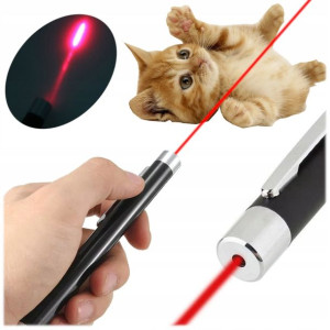 Laser Wskaźnik Laserowy Pointer Zabawka Kota 2w1