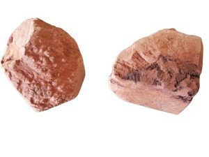 GRYZAK DLA PSA NATURALNY 4DOGS XL z korzenia wrzośca