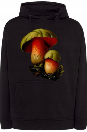 Borowiki Męska Bluza Grzybiarz Kaptur r.4XL