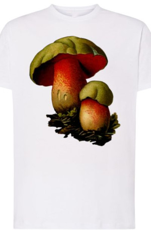 Borowiki Męski T-Shirt Nadruk Modny Rozm.M