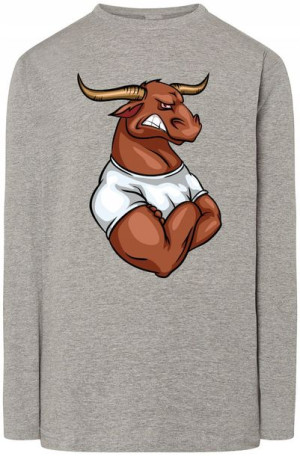 Byk Męska Modna Bluza Longsleeve Rozm.4XL