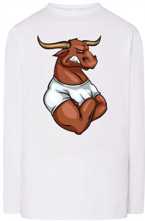 Byk Męska Modna Bluza Longsleeve Rozm.XS