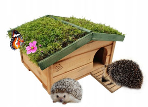 Domek Dla Jeży Jeża Budka Lęgowa Z Mchem Na Dachu