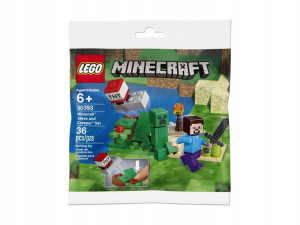 LEGO Minecraft 30393 Steve and Creeper Set