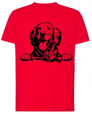 Golden Retriever Pies T-shirt Nadruk Rozm.S