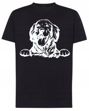 Golden Retriever Pies T-shirt Nadruk Rozm.XL