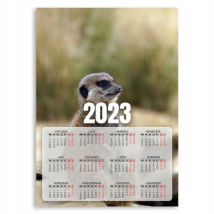 Kalendarz 2023 Rok Ścienny 50x70 Surykatki Wzory