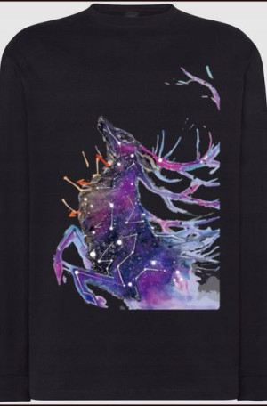 Jeleń Kolorowy Męska bluza Longsleeve Rozm.5XL