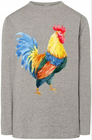 Kolorowy Kogut Męska Bluza Longsleeve Rozm.XXL
