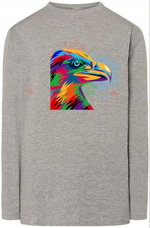 Kolorowy Orzeł Męski Longsleeve Modny Rozm.XXL