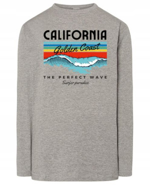 Longsleeve fajny kolorowy nadruk California r.4XL
