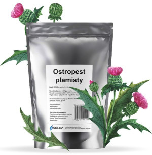 OSTROPEST PLAMISTY ziarno naturalny świeży 1kg