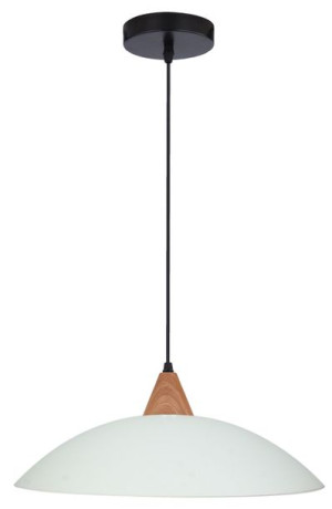 Otriks Zwis 40 1x60w E27