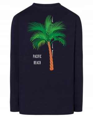 Longsleeve kolorowy nadruk PALMA r.M