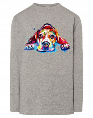 Longsleeve kolorowy nadruk pies Beagle r.5XL