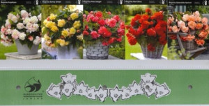 Begonia Pachnąca Zestaw 5 Szt .