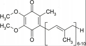 Koenzym Q10 Ubichinon Ubiquinone Czysty 10g