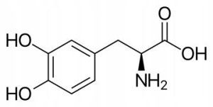 L-DOPA Lewodopa Czysta zaw. min. >98% 25g