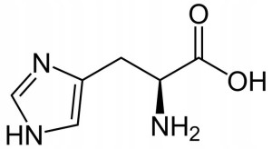 L-Histydyna Histydyna Histidine Czysta 250g