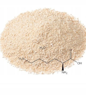 L-Lizyna Siarczan Lysine Sulfate 100g