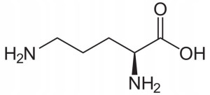 Ornityna Aminokwas Ornithine 100g