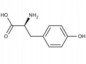 Tyrozyna Tyrosine Czysty Aminokwas 100g