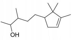 Sandalore Sandalrom Bagdenol Drzewo Sandałowe 90mL