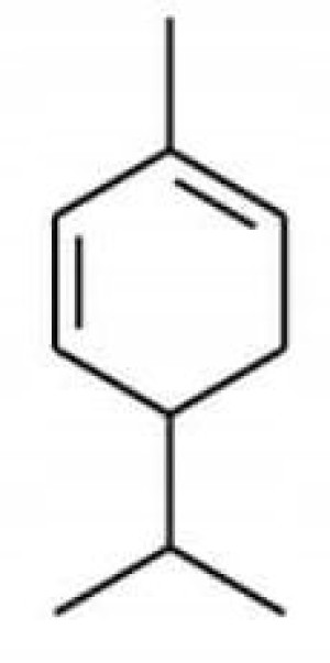 Alpha Phallandrene Terpen Pieprz Czarny 90mL