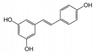 Resveratrol Resweratrol Czysty Związek >98% 90g
