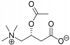 AcetylCarnitine Acetylo L-karnityna Alcar 100g