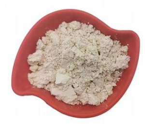 Diatomit Ziemia Okrzemkowa Diatomit Diatomite 10kg
