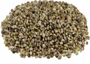 Carp Seeds Konopia/Konopie Ziarno 20kg