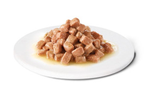 MOKRA KARMA DLA PSÓW I KOTÓW w trakcie rekonwalescencji ADVANCE DIET 100g
