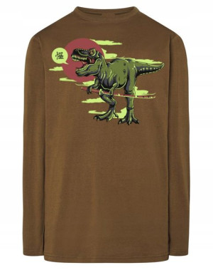Longsleeve męski nadruk kolorowy _nadruk r.3XL