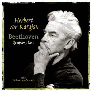 Ludwig van Beethoven Symphonie No.5 Winyl LP 180g