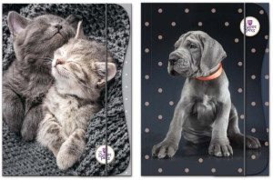 Teczka tekturowa z gumką "The sweet pets"  A4