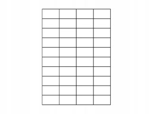 Wkłady do identyfikatorów perf. 65x21mm op.100szt.