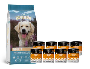 Divinus Adult dla psów dorosłych 20kg + Mr.BIG kawałki w sosie z kurczakiem