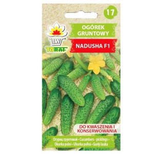 Ogórek idealny do kiszenia Nadusha F1 - nasiona 1 g - Toraf