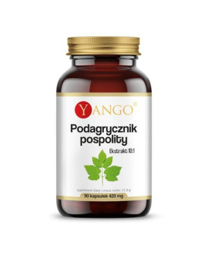Yango Podagrycznik pospolity