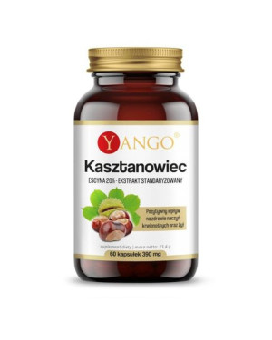 Yango Kasztanowiec