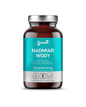 Panaseus Nadmiar Wody