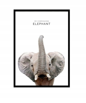 Obraz Ze Zwierzętami Plakat Drewniany Lew Zebra