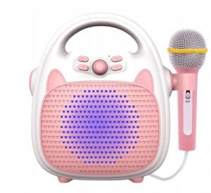 Mikrofon Z Głośnikiem Zestaw Karaoke Bluetooth