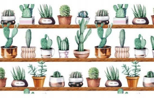 Folia Okienna Statyczna Bez Klejowa Kaktusy / Cacti 67,5x150cm